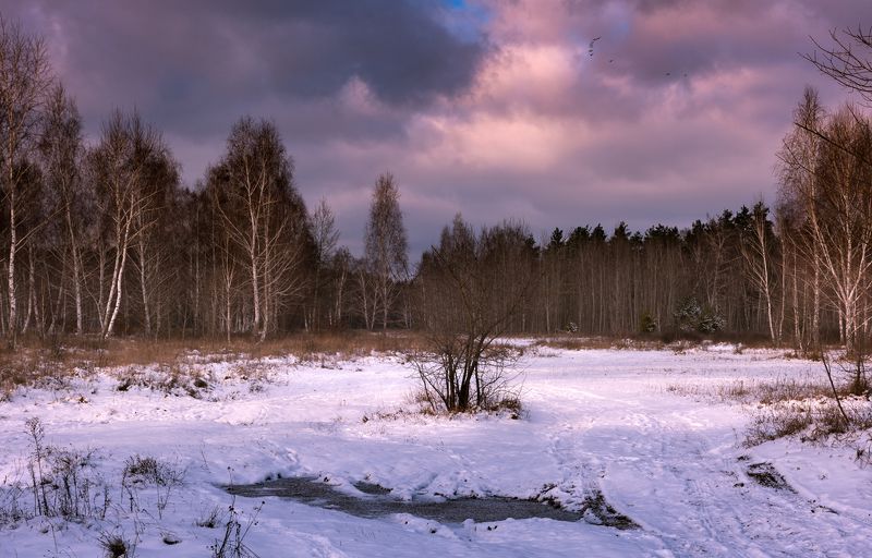луг зима декабрь закат Мороз крепчал и лебеди летели на юг фото превью