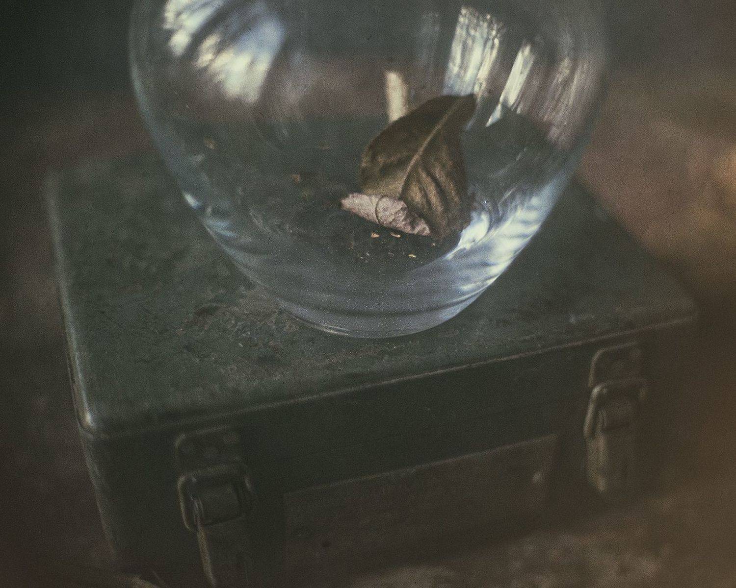 , Татьяна Аверина