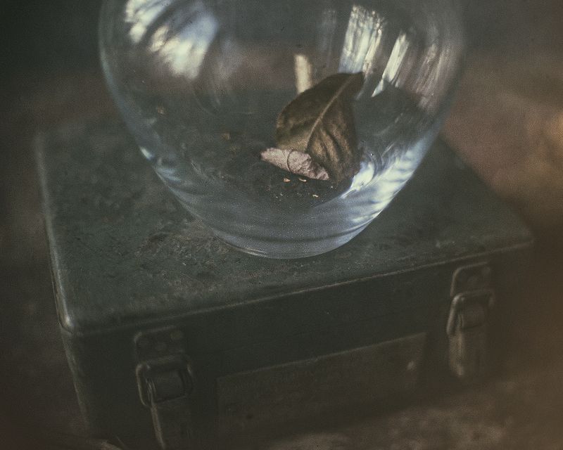 Осень на память фото превью