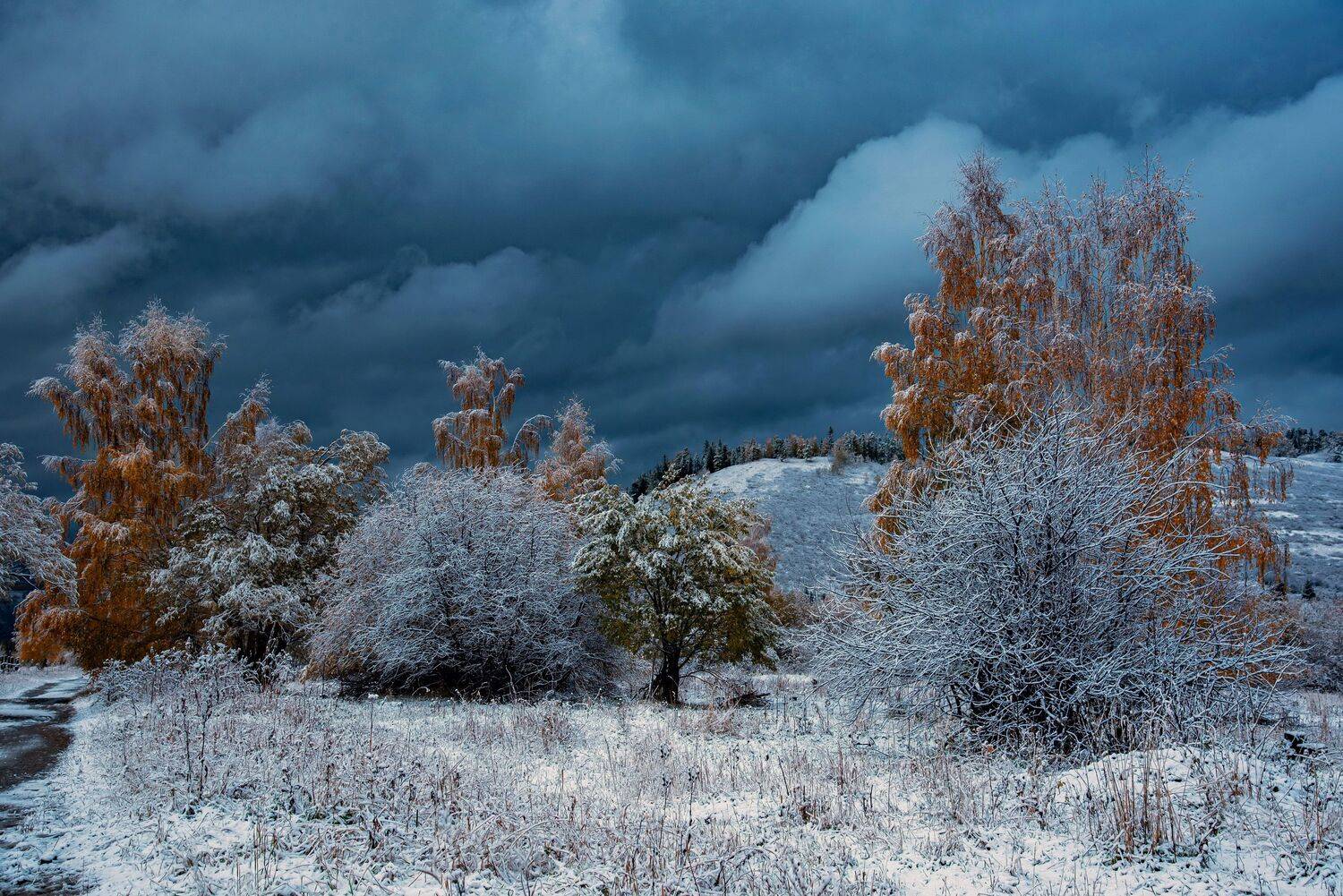 горы, Евгений Дроботенко