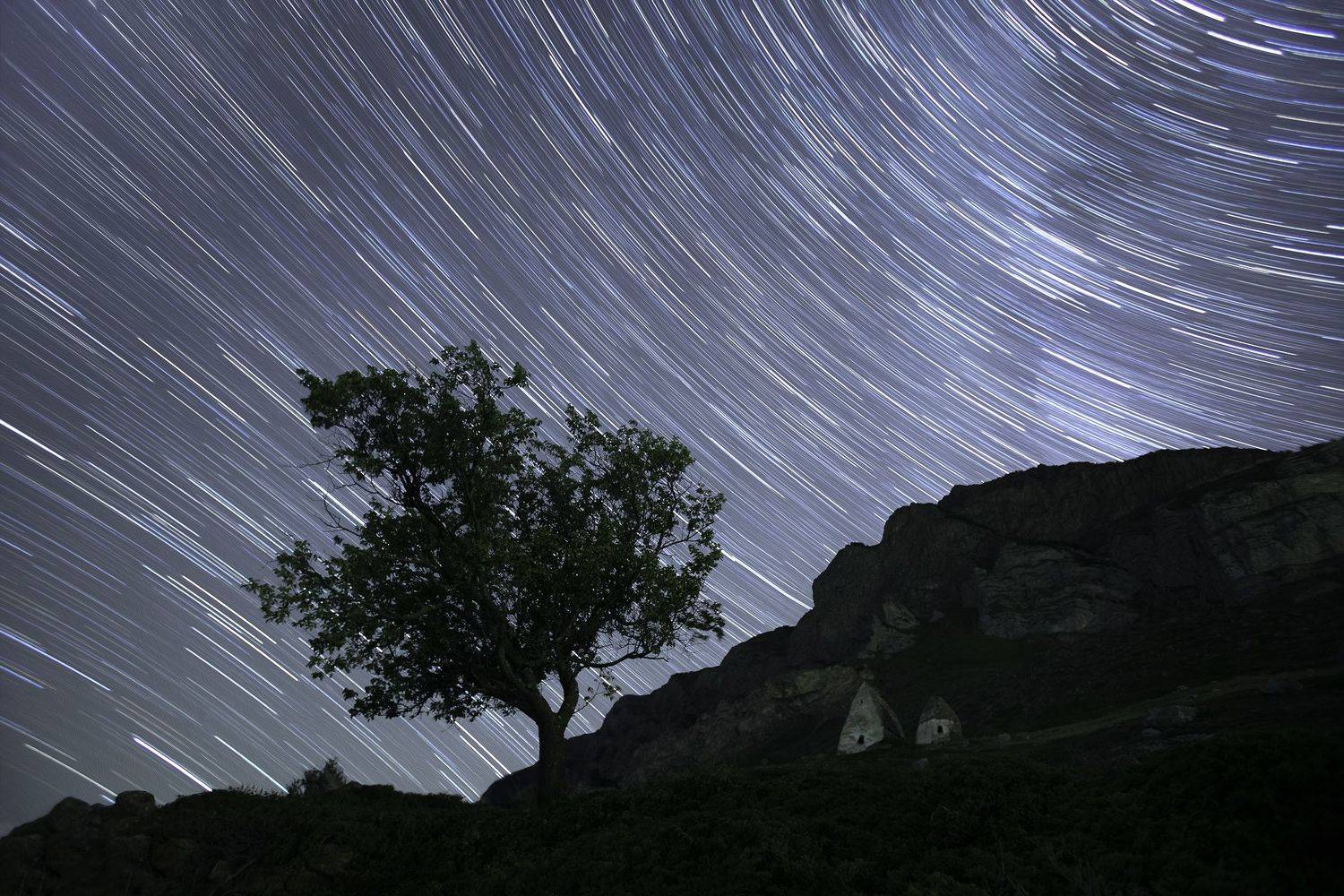 , Дмитрий Купрацевич