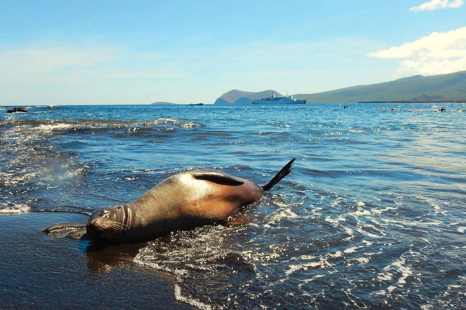 , Худзинская Ирина