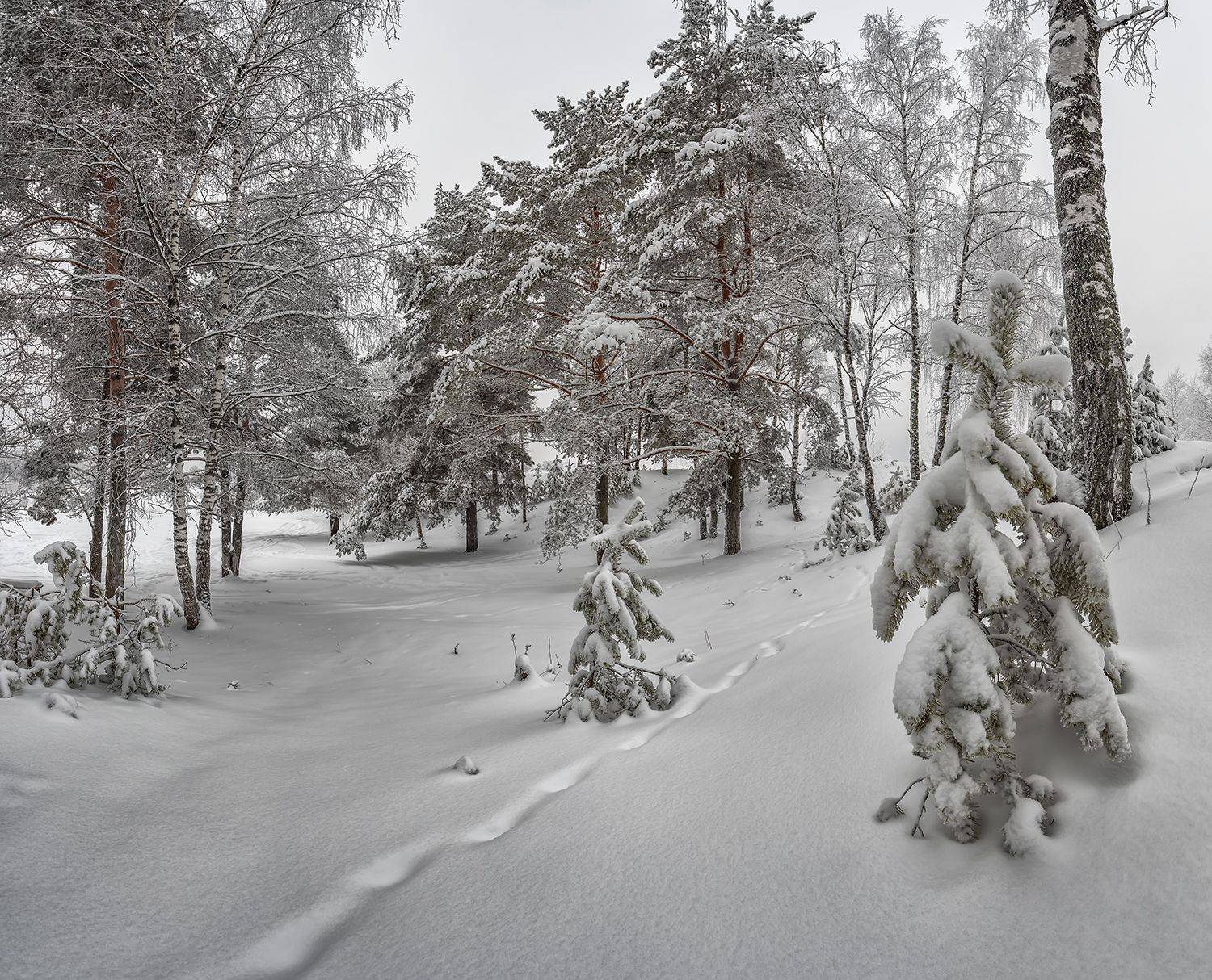 , Николай Андреев