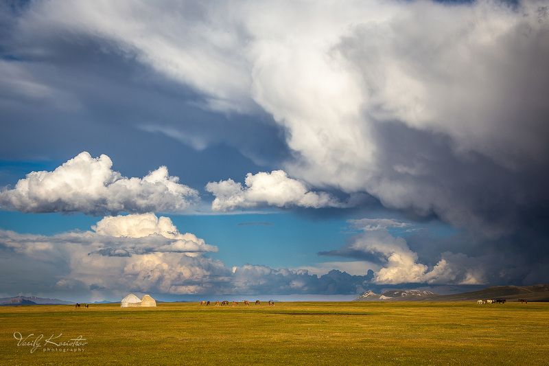 кыргызстан, горы тянь-шань, озеро сонкёль, июль 2020 редкий ...штильный вечерок фото превью