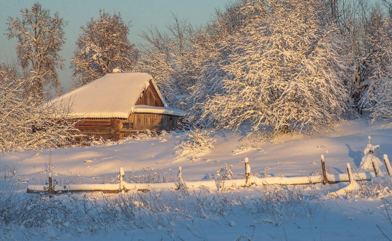, Алексей Шуплецов