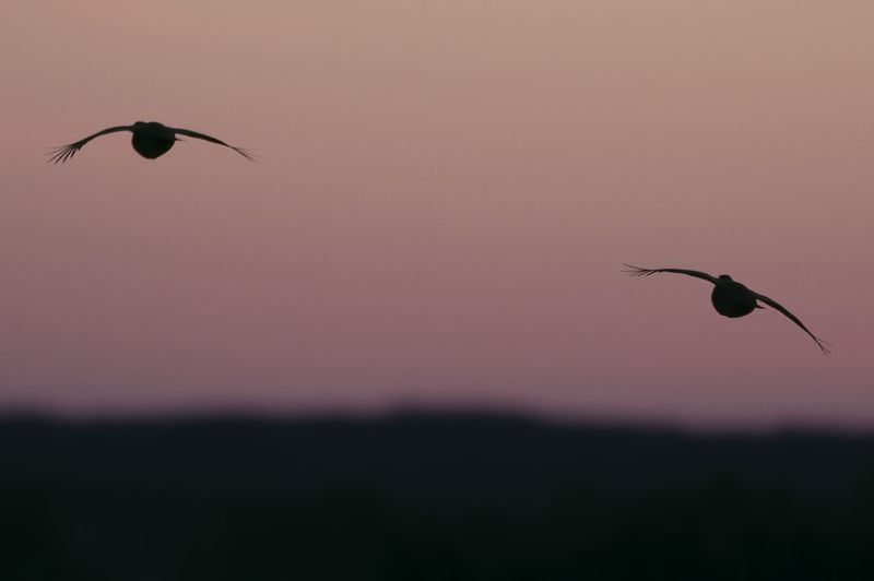 Глаза фото превью