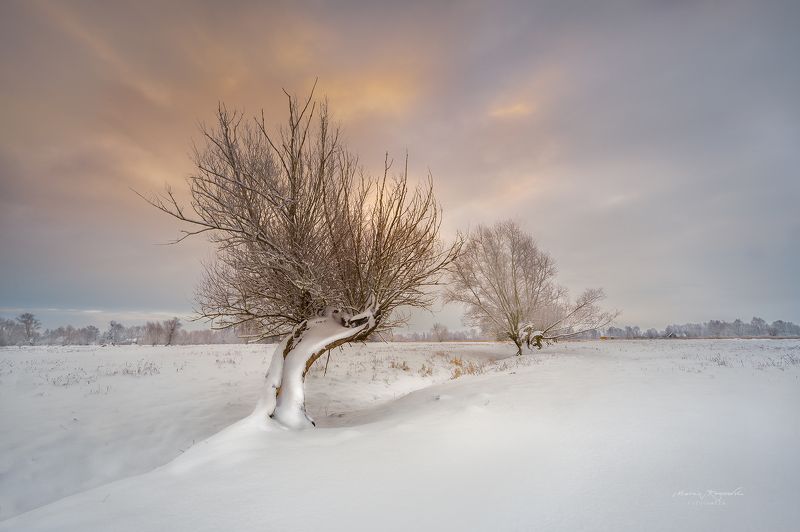 Pierwszy śnieg фото превью