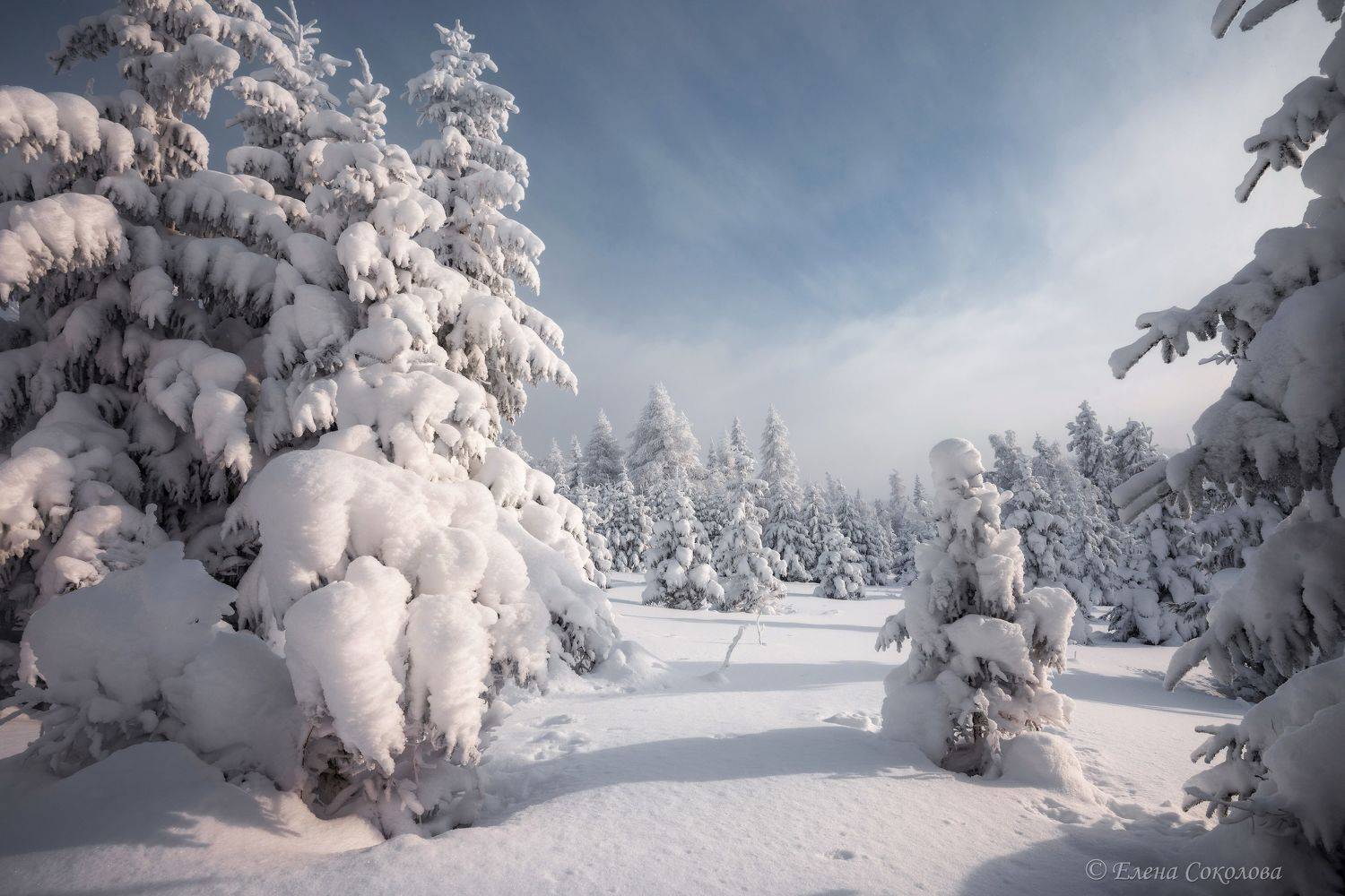 зимний пейзаж, пейзаж, зима, урал, южный урал, Елена Соколова