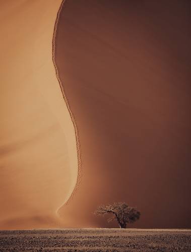 Dune