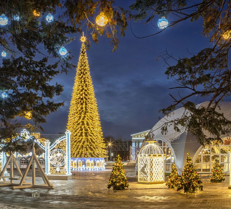 соборная площадь, пешеходная улица, россия, рождество, праздник, панорама, новый год, новогодняя сказка, новогодняя площадь, новогодняя история, новогодняя иллюминация, новогодняя ёлка, новогодний городок,  зимний городок, зима, дизайн, городской пейзаж, Новогодний Белгород 2022 фото превью