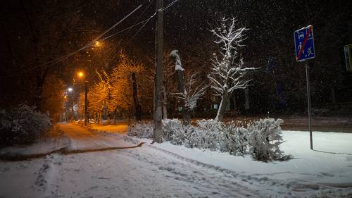 Первая снежная ночь