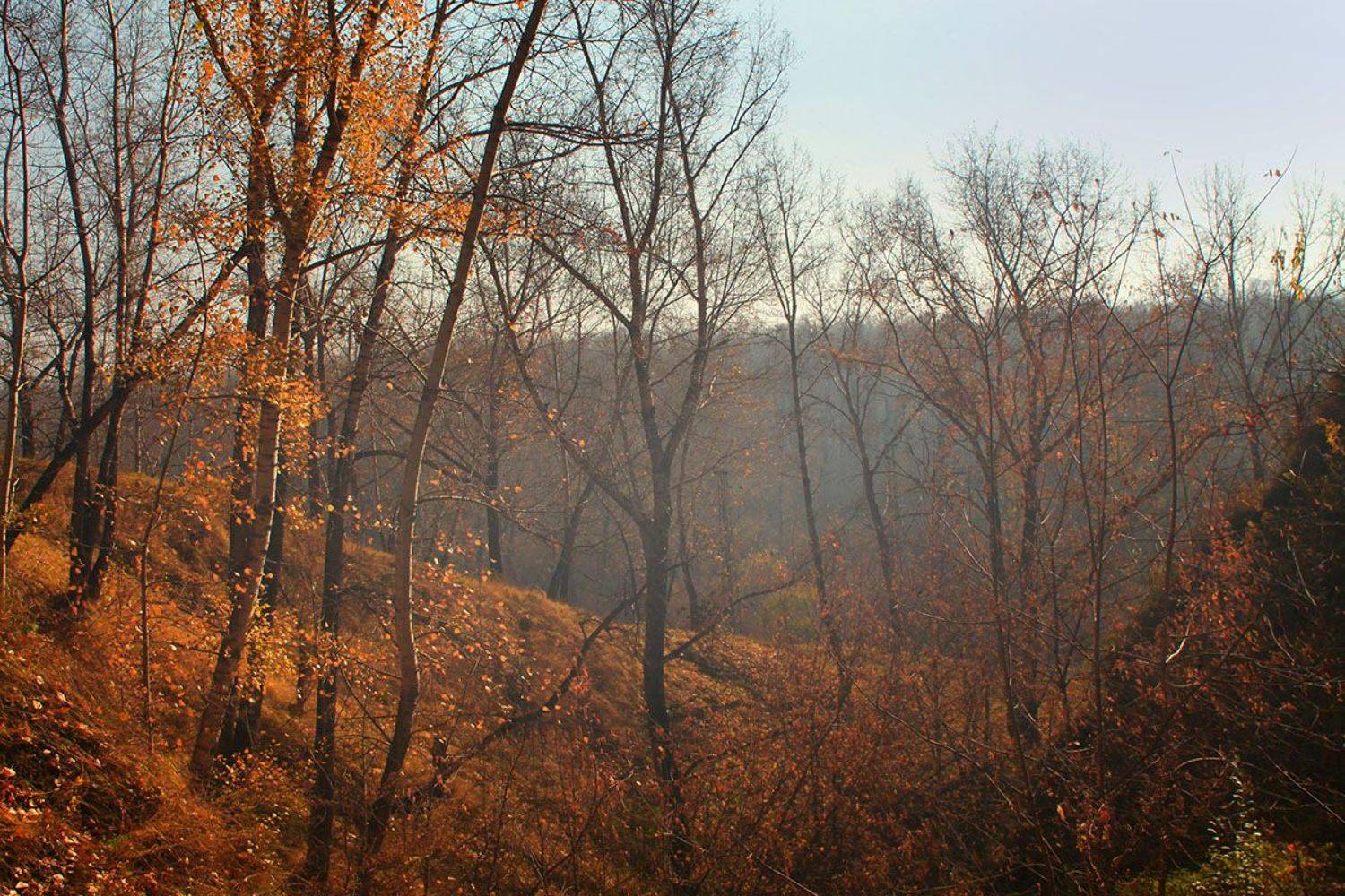осень, октябрь, Курочкина Диана