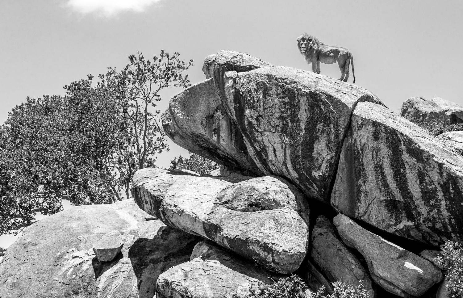 , Гудков Андрей