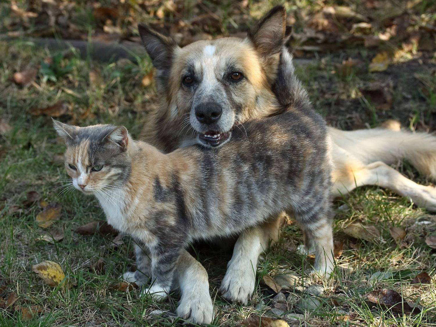 , Сергей Фудиненко