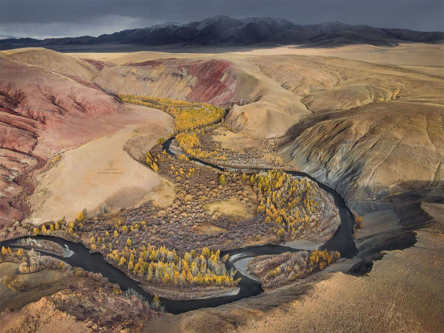 , Дмитрий Купрацевич