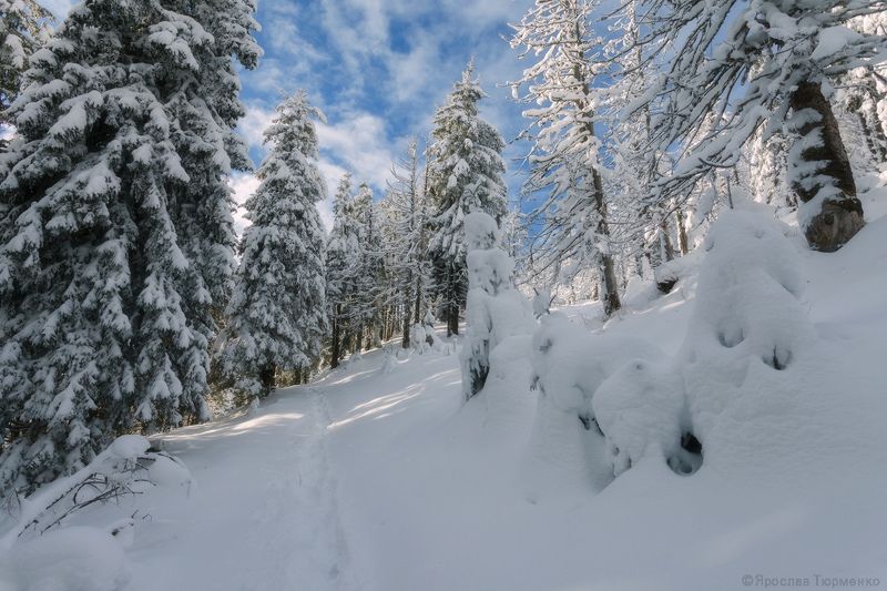 фото превью