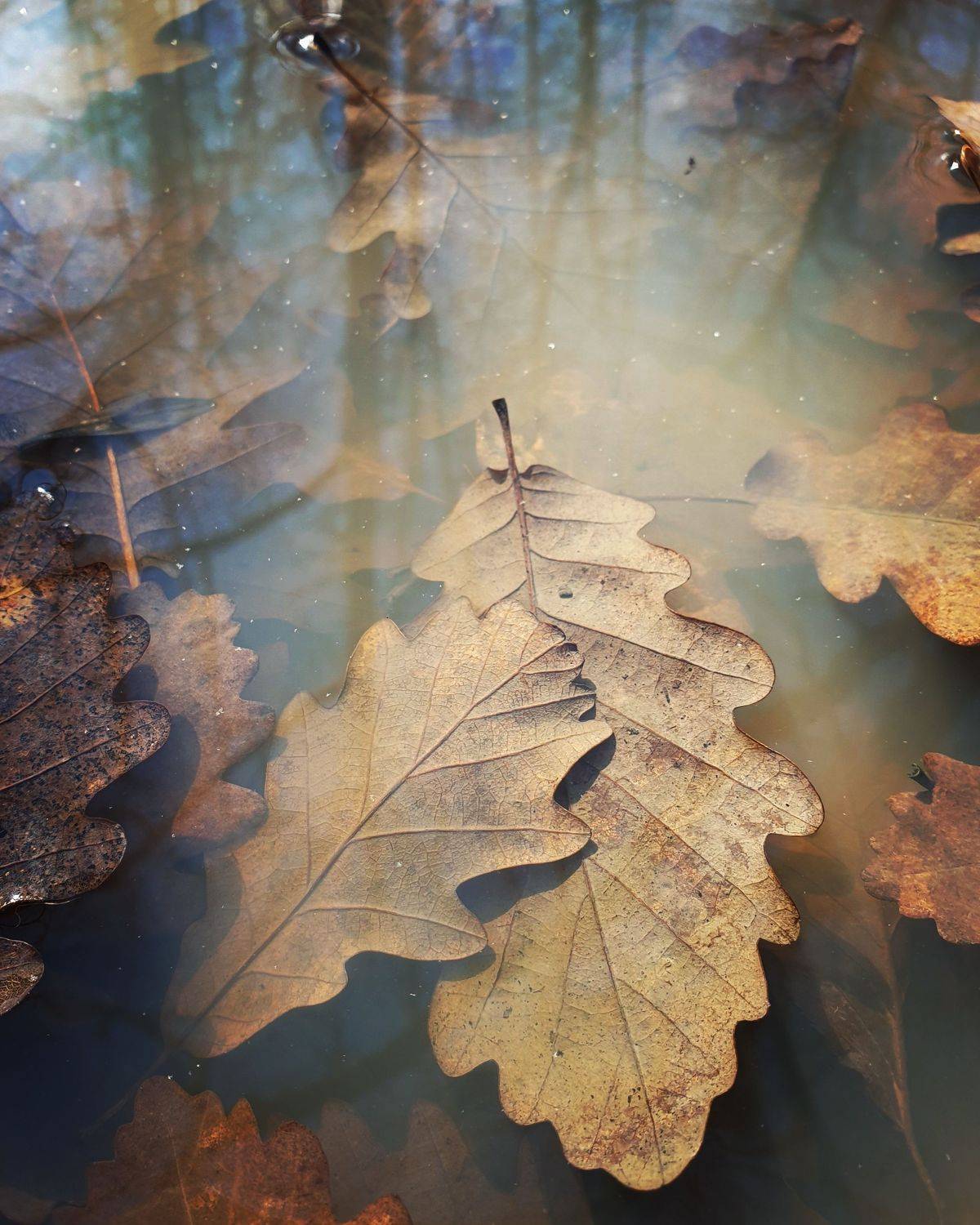 , Куликова Ирина