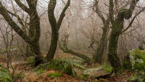 Под горой Развалкой