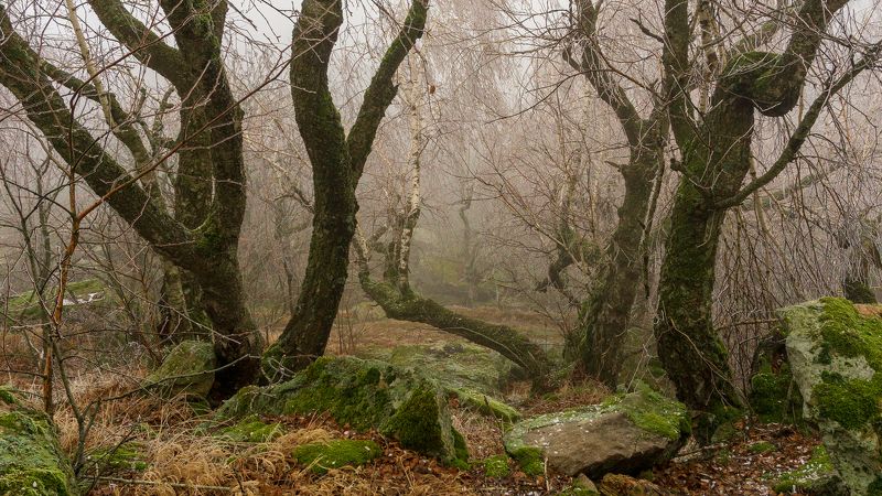 туман, кмв, развалка Под горой Развалкой фото превью
