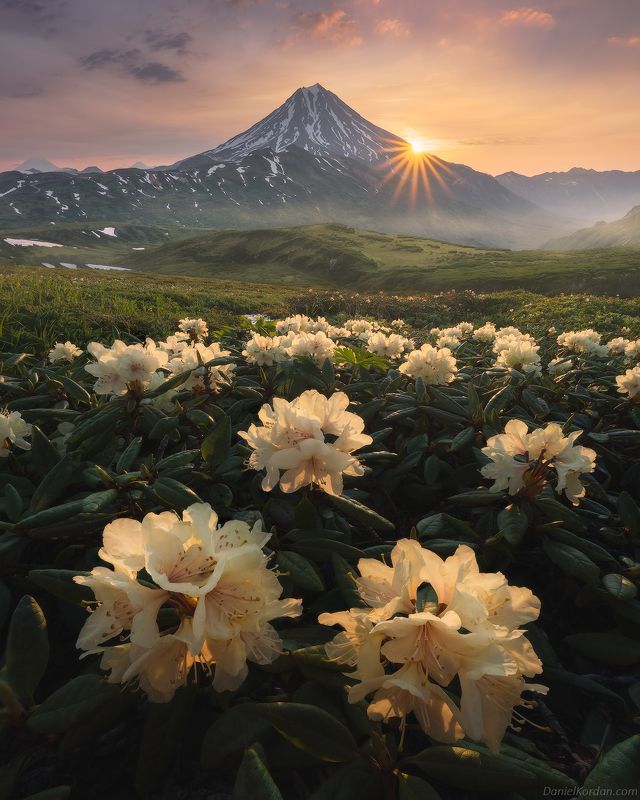 Камчатка