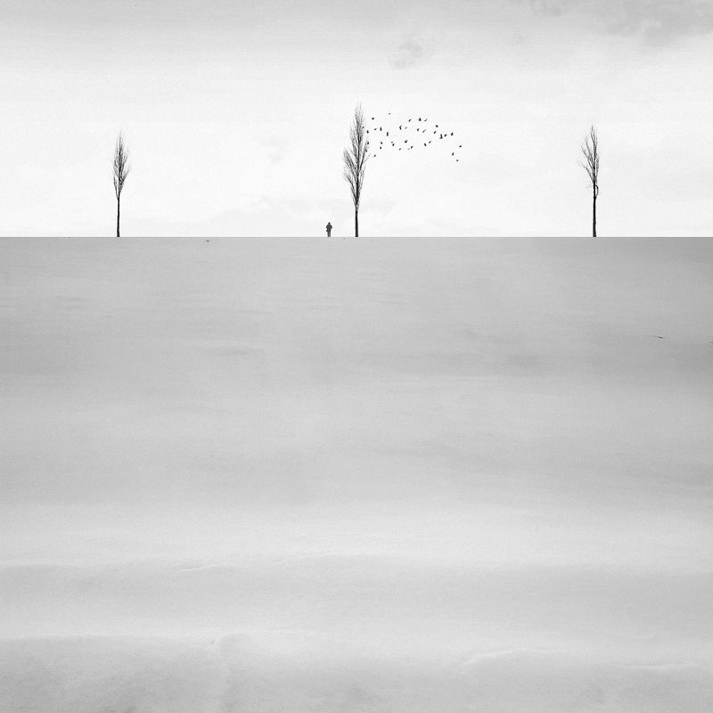 Trilogy фото превью