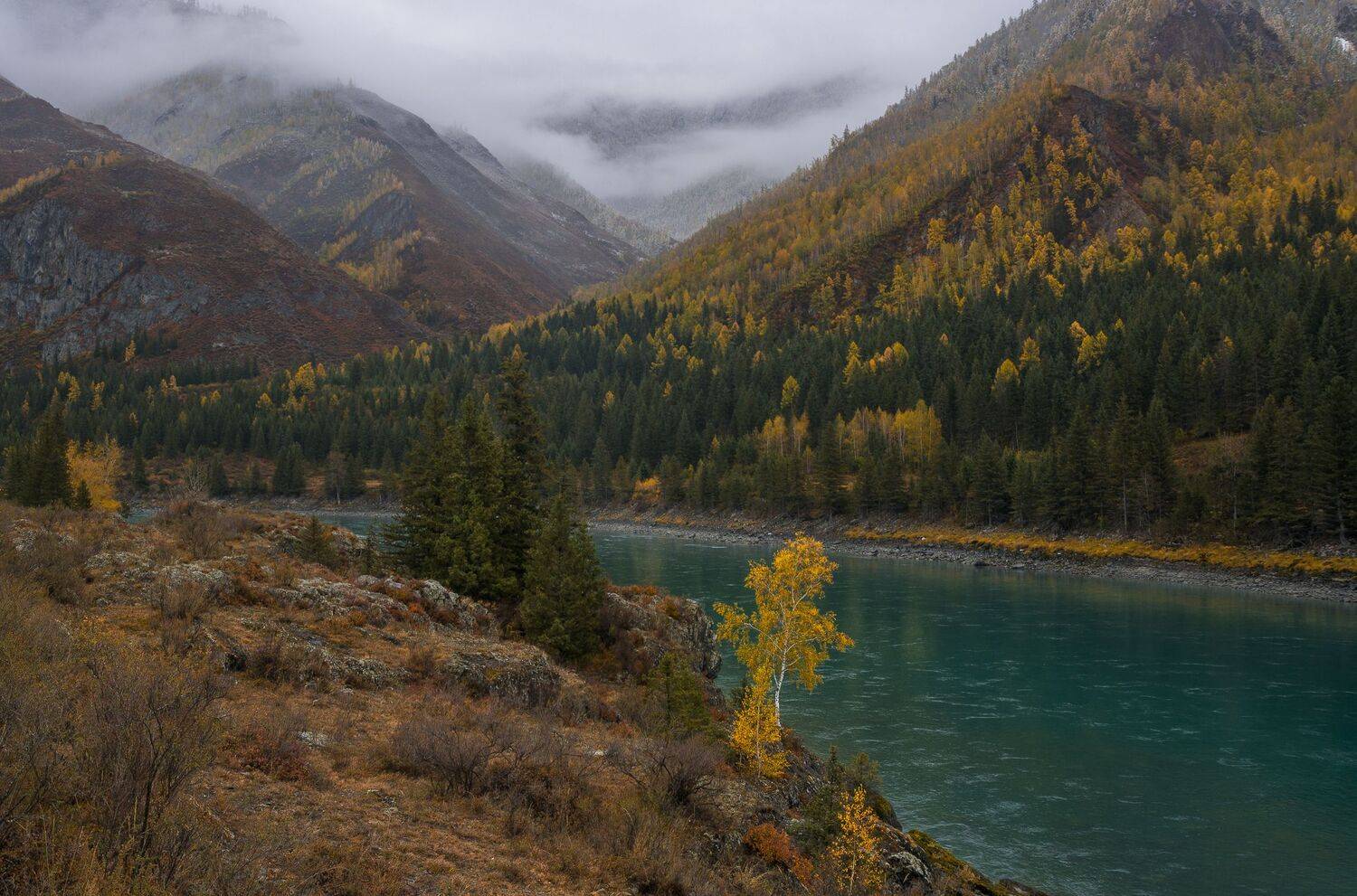 россия, горный алтай, река катунь, осень, Андрей Поляков