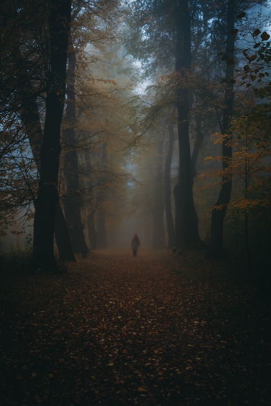landscape,autumn,canon The Ghosts of Autumn... фото превью