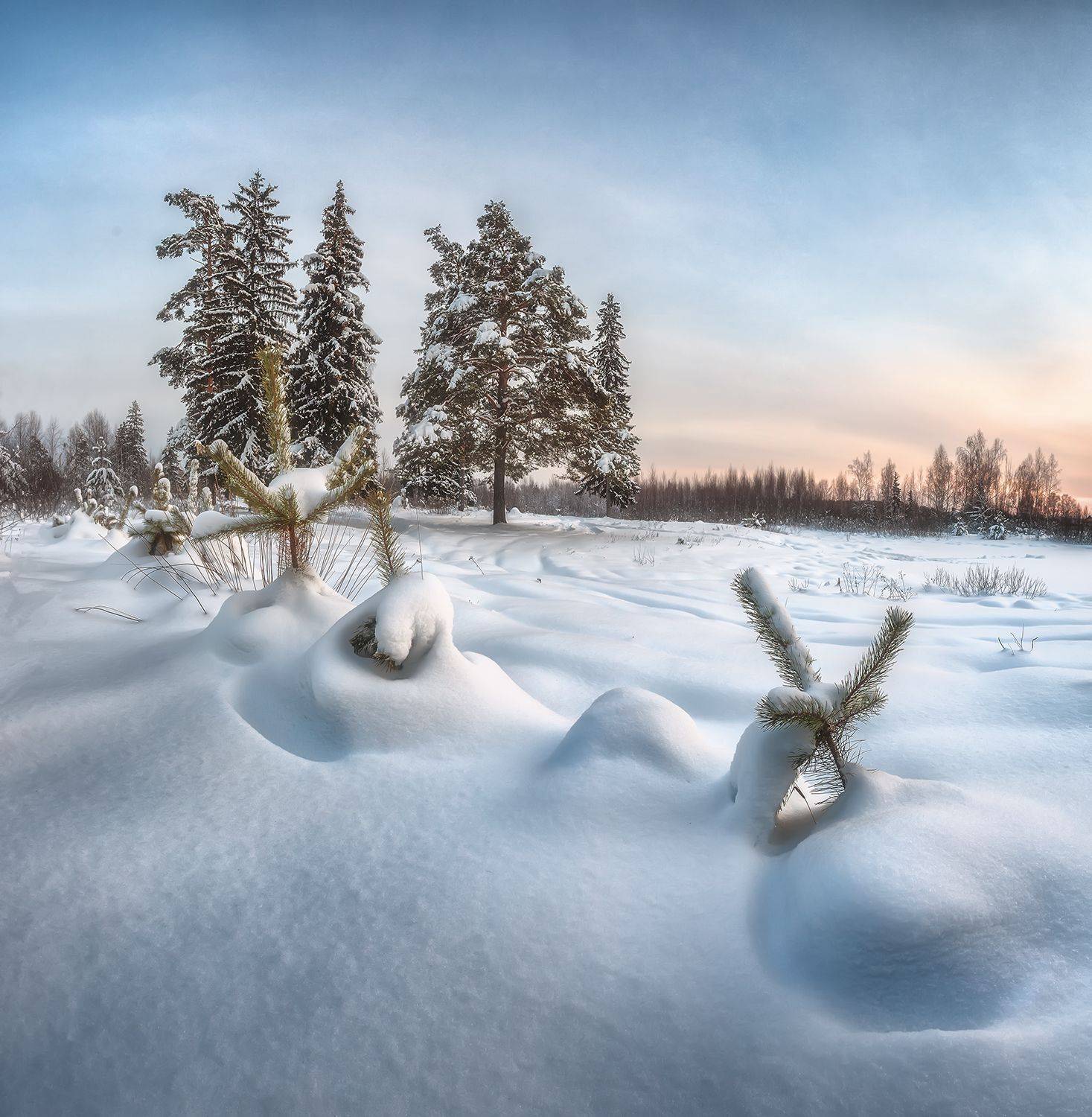 , Николай Андреев