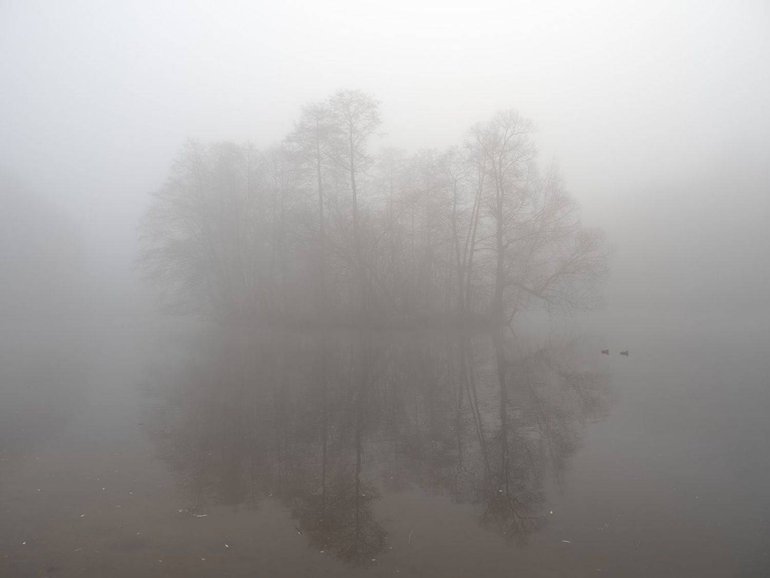 , Сергей Духанин