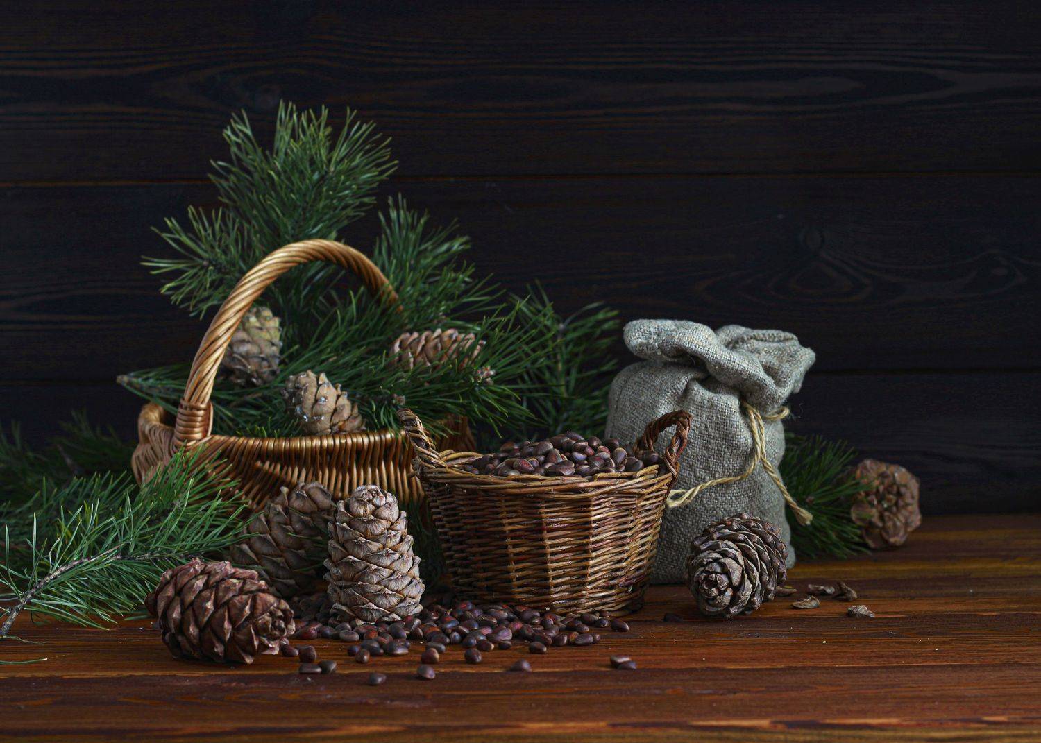 натюрморт, фотонатюрморт, зима, шишки, кедр, тайга, орехи, наталья казанцева, Наталья Казанцева