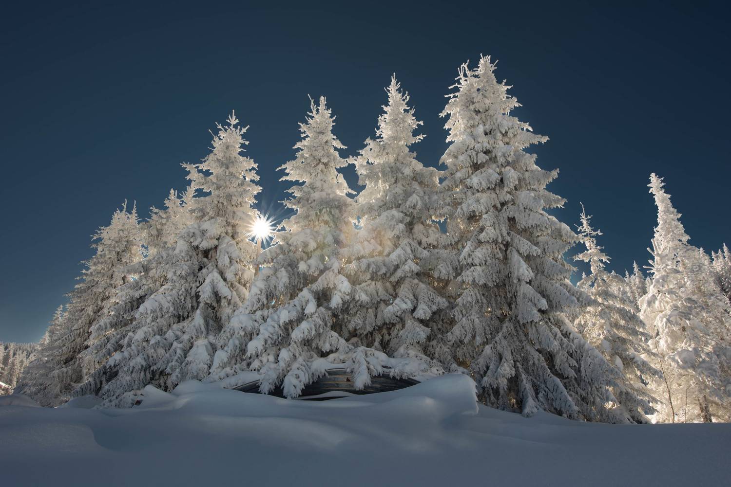 #landscape#nature#winter, Dimo Hristev