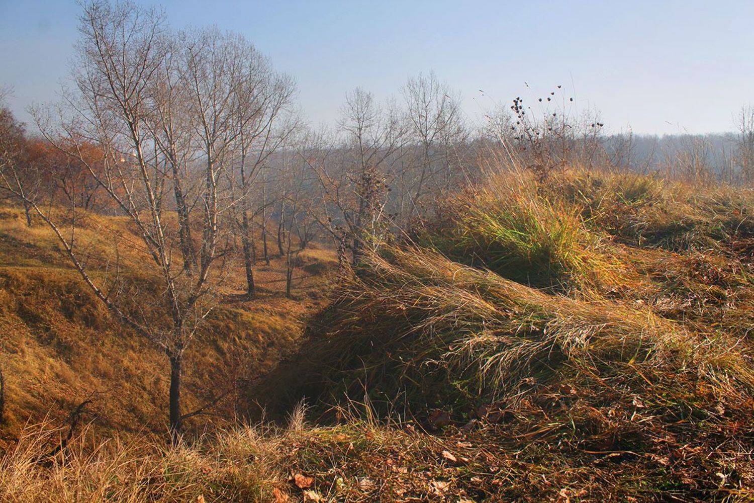 осень, октябрь, Курочкина Диана
