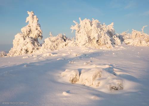 В снежном плену
