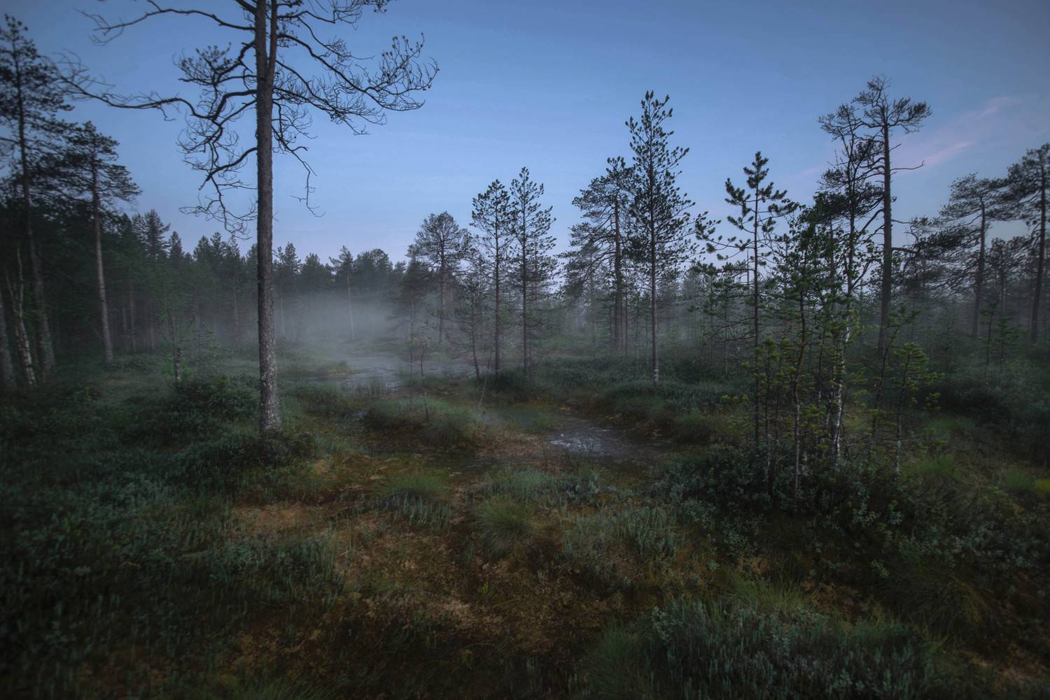 , Давлетшин Сергей