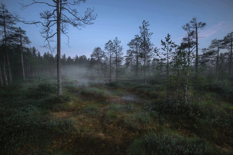 Топи фото превью