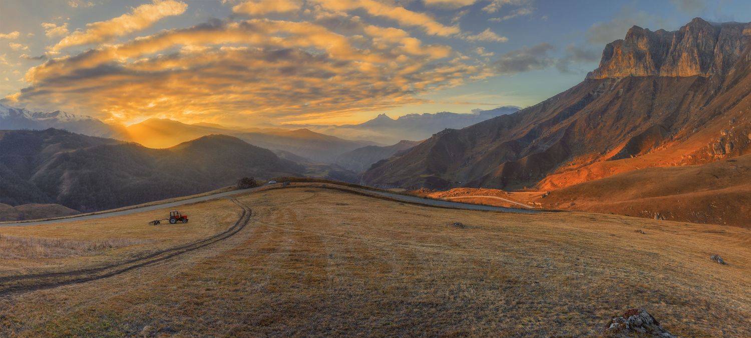 , ДМИТРИЙ ПУЗЕНКО