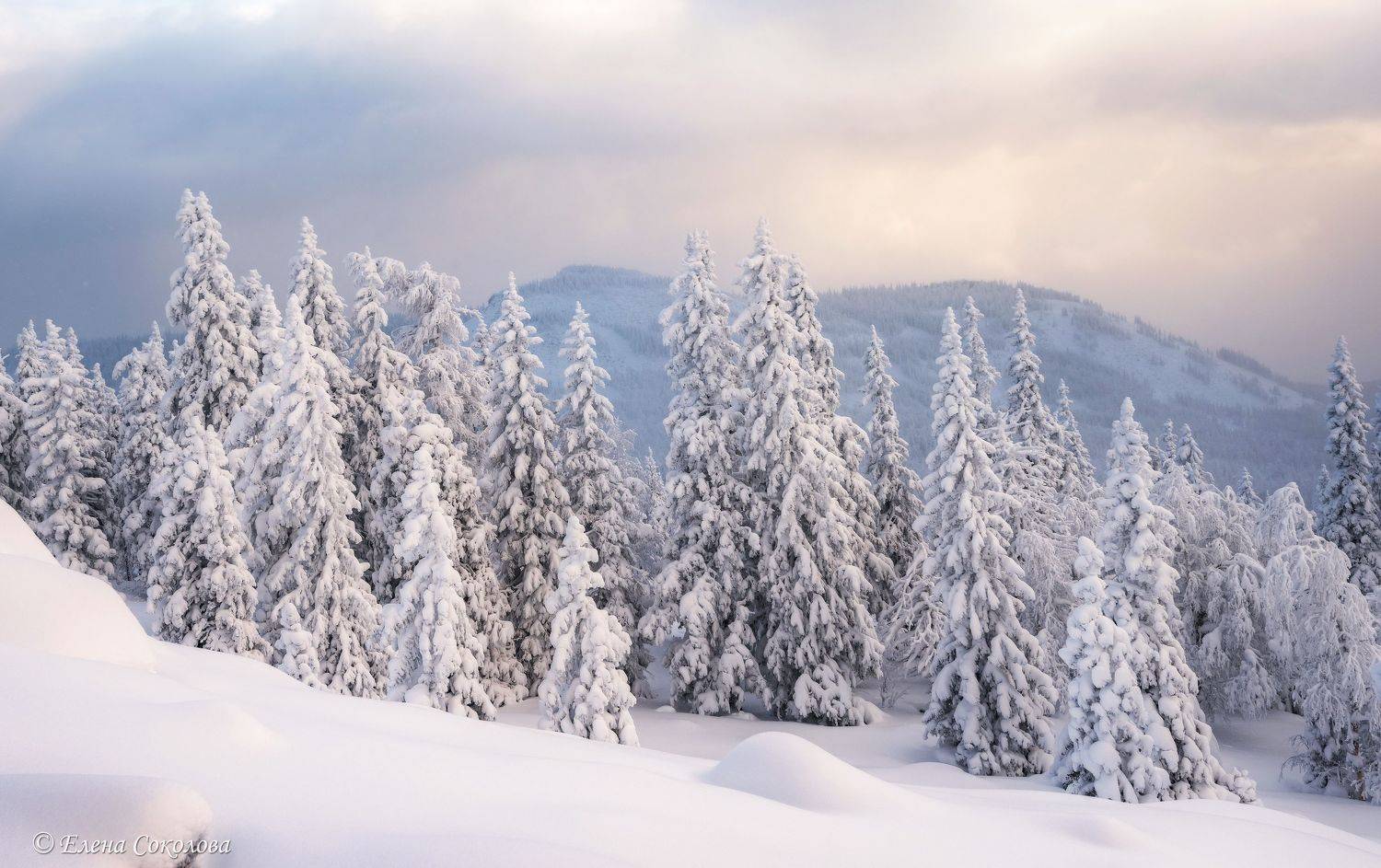 уван, гора уван, челябинская область, зимний лес, зимний пейзаж, Елена Соколова