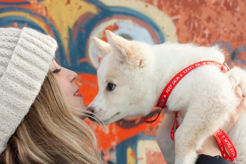 Lola фото превью