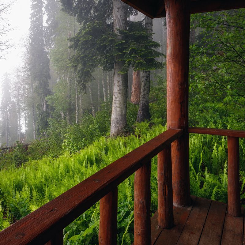 пейзаж, день Вид с веранды фото превью