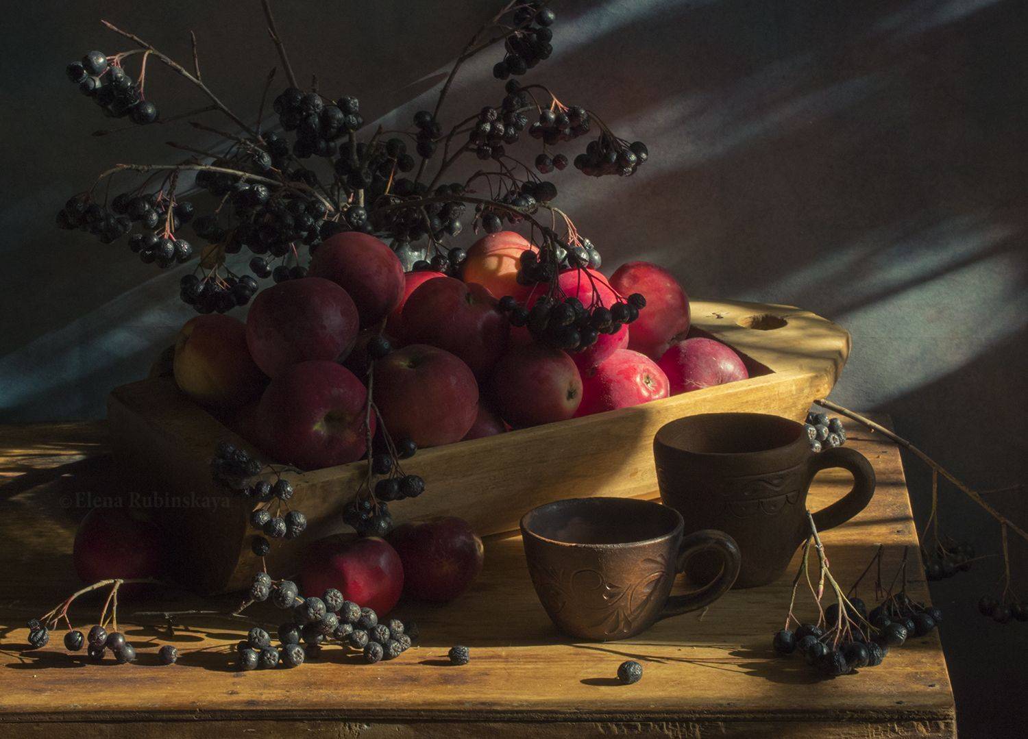 , Елена Рубинская