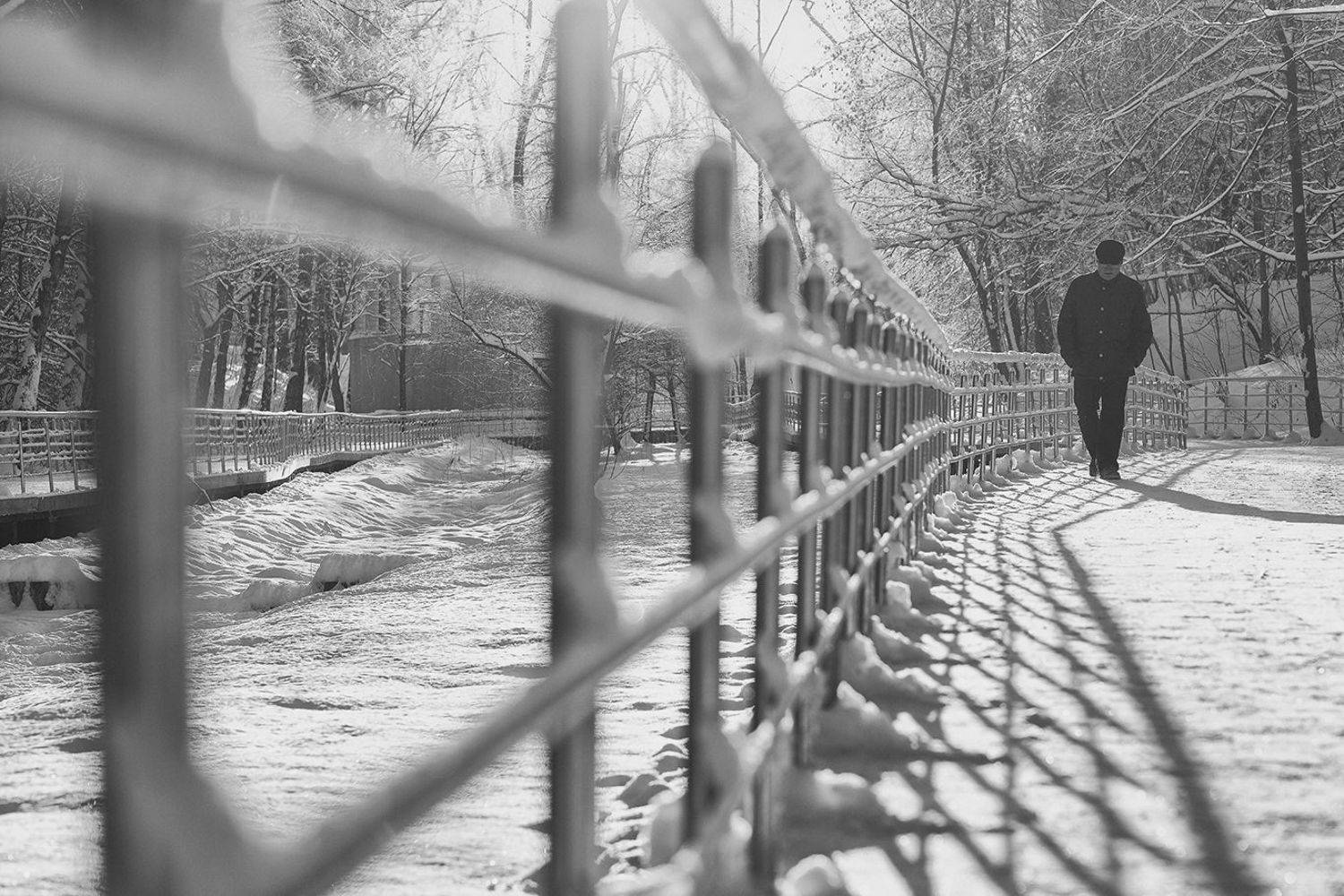 уличная фотография, стрит,, Наталья Егорова