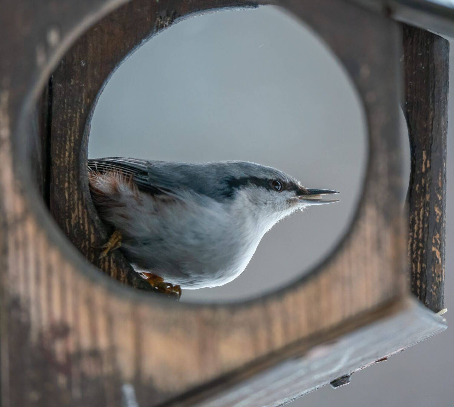 , Константин Дэм