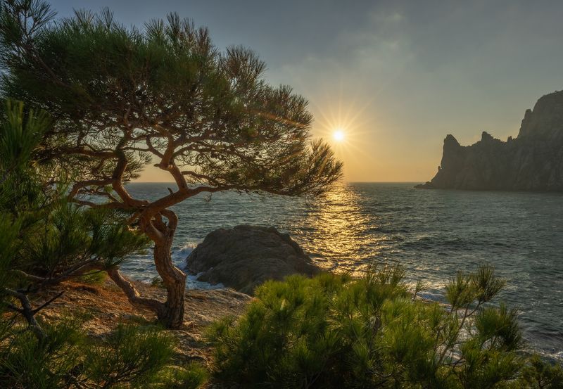 Новый Свет фото превью