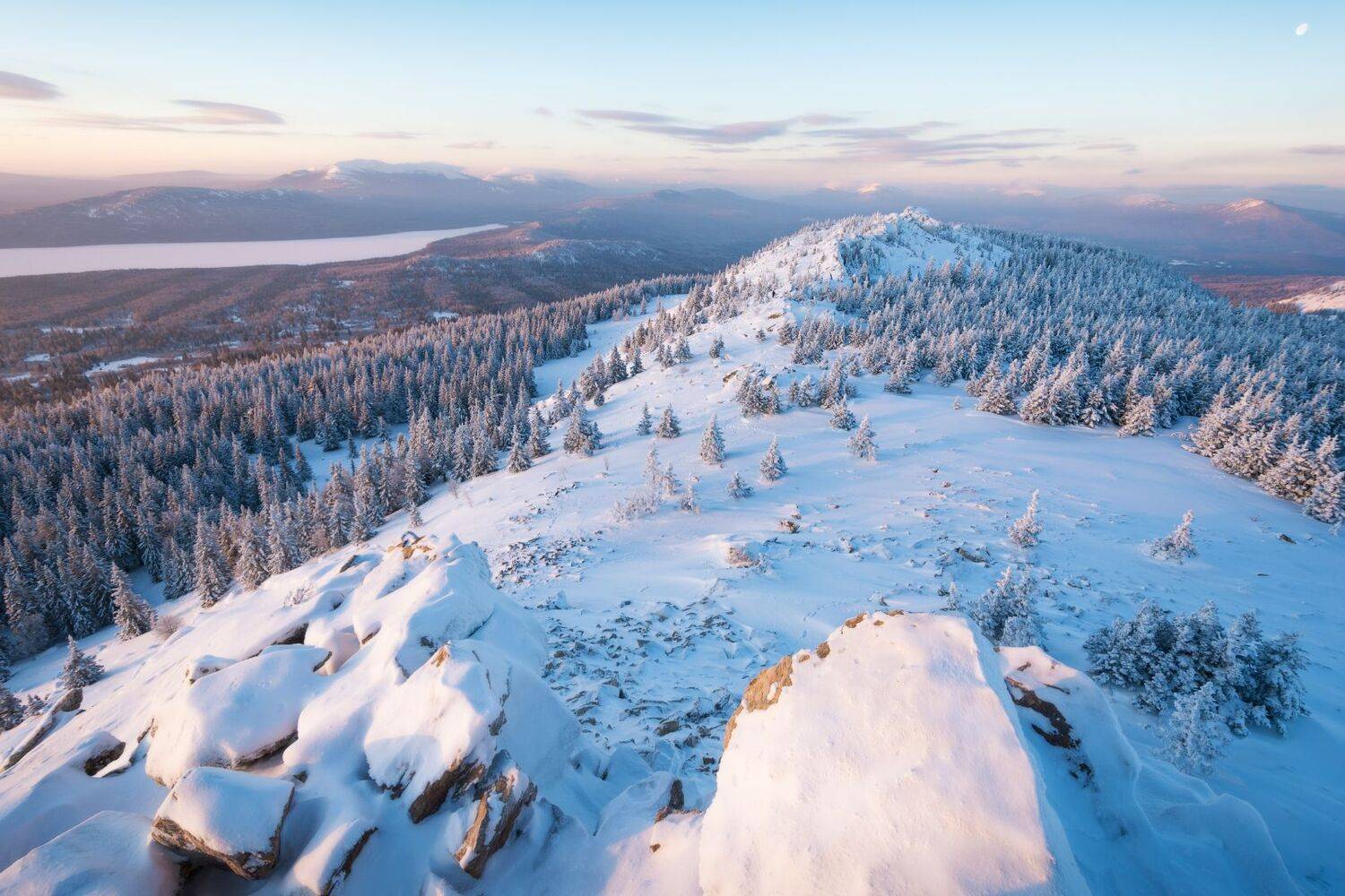 , Алексей Проняхин