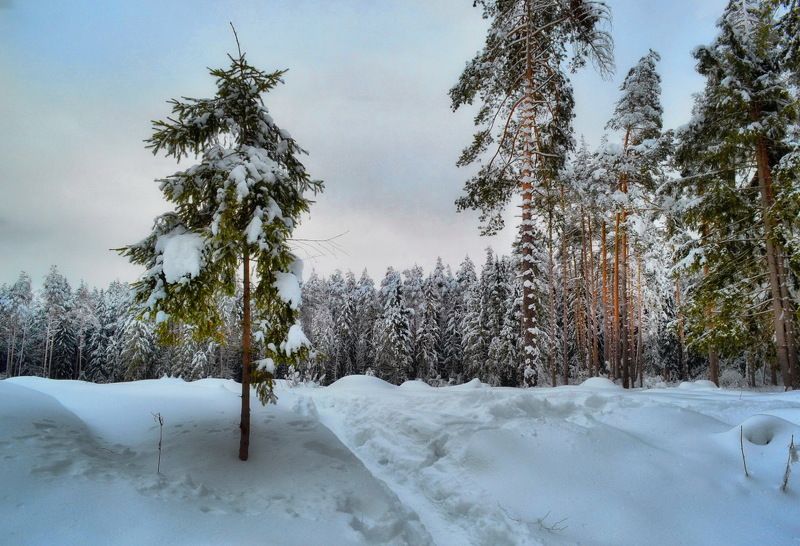 фото превью