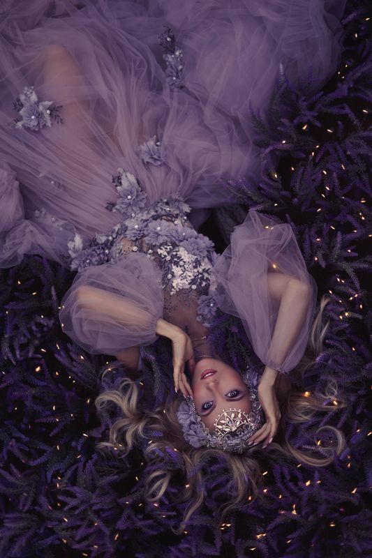 Лаванда Ночь в лаванде фото превью