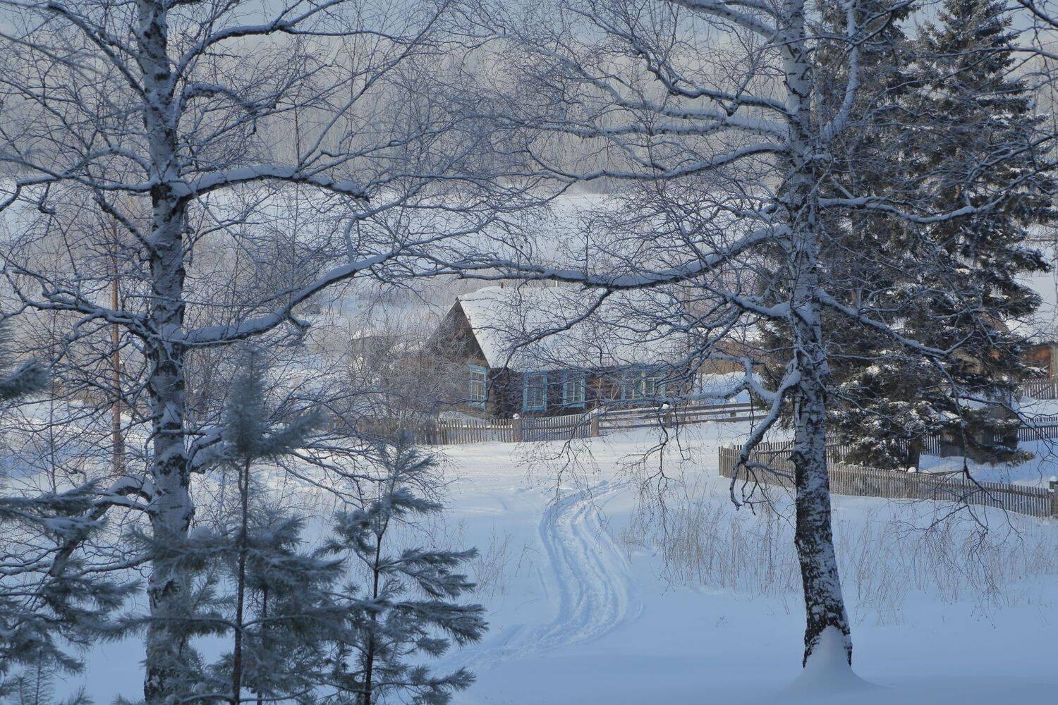 , Евгений Зинов