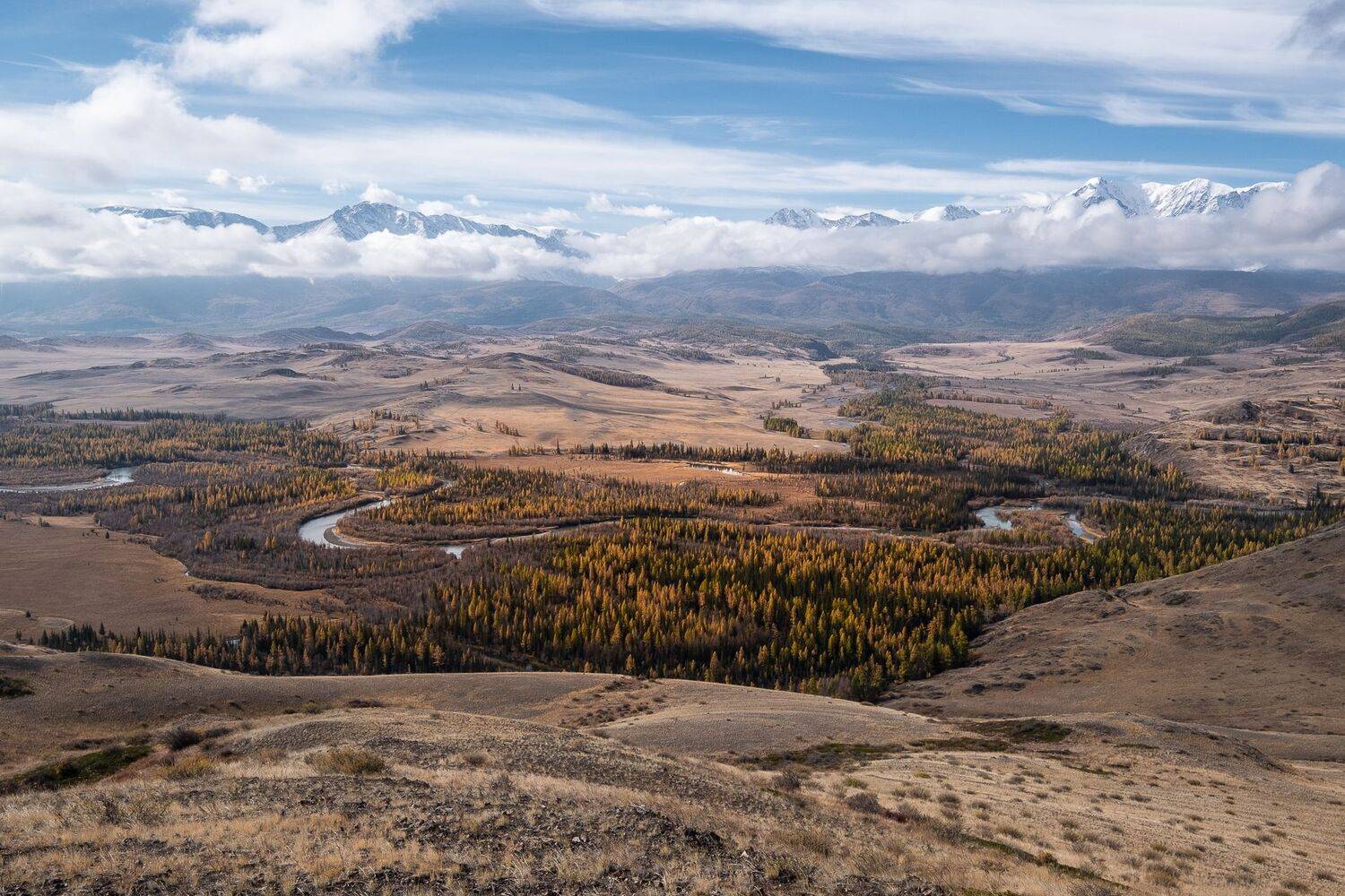 Алтай, Чуя, Вадим Коротеев