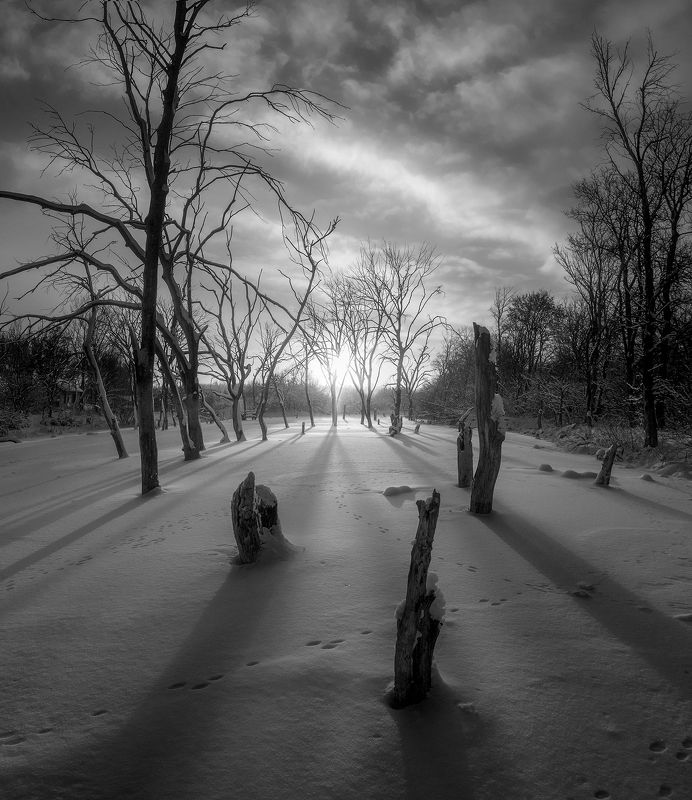 #ProWinter фото превью