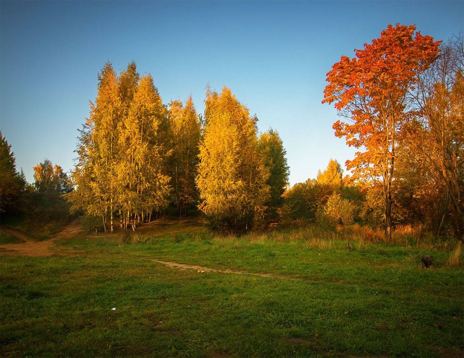 , Алексей Герасимов